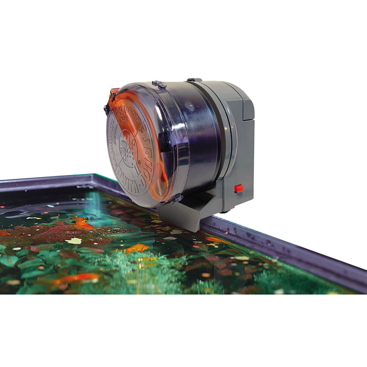 Penn Plax Dailydouble Automatic Fish Feeder For Aquariums Wayfair Canada